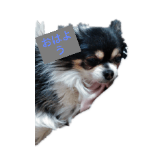 hayato_20200411143128