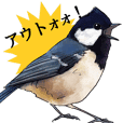 日本の野鳥2