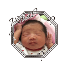 shelly_20200411164906