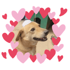 hikari_20200411141102