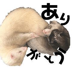 ZUNDA and KINAKO . Ferret Sticker