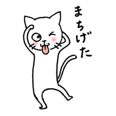 Wajima accent cat