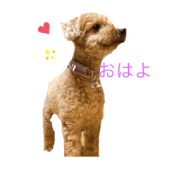 MOKA_20200411142156arai