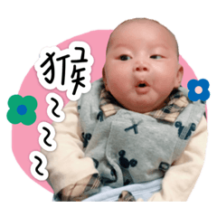 QQ的森寶