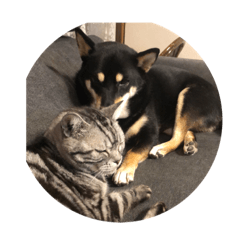 Yukari_20200411192140