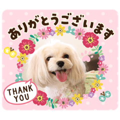 monaka_20200411215647