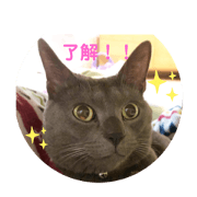 RURURUN_20200411222401