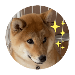 saori_20200411225452