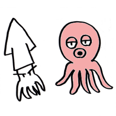 squid or octopus