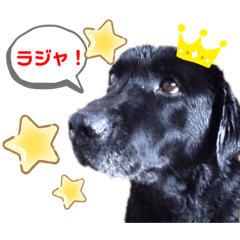 Smile_20200411191656