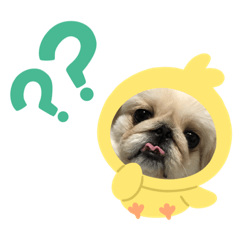 SATOSHI34_202004112315