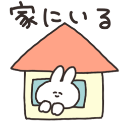The rabbit in the home