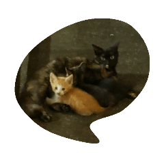 MICHIKO_20200412003405