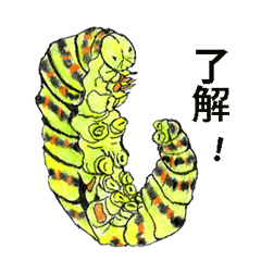 Lovely caterpillar