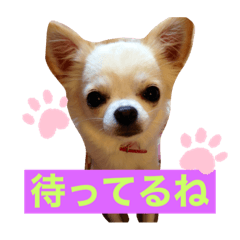 saori_20200412083221