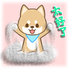 日本种小犬2