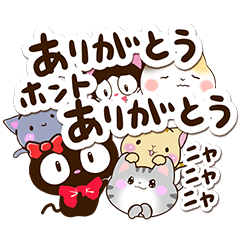 6 cute cats! (A lot of words version)