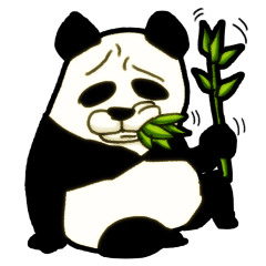 Bamboo is favorite of the Panda(NoLines)