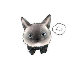 lovely sexy girl & lovely cat