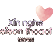 Vietnam Vietnamese and Chinese 26