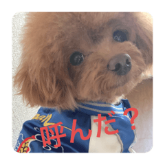 Pako_20200412002032