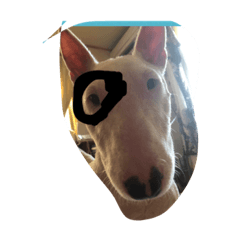 hikari_20200411231437