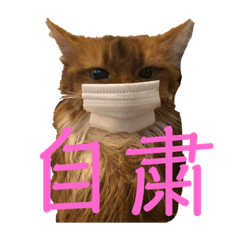 ねこ Lineクリエイターズスタンプまとめ Stamplist Part 40