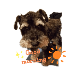 kurumi_20200412055734