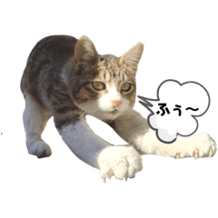 Alice_20200412140754