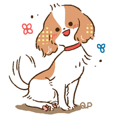 soft and fluffy dog Kewpie