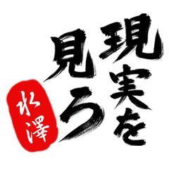 現実を見ろ！【水澤】の毒舌筆文字
