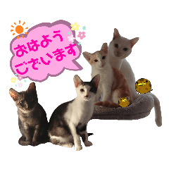 omochi_20200409135009