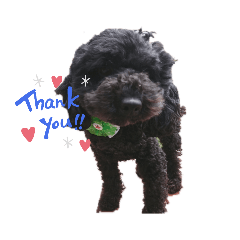 Smile_20200412145157