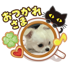 hayato_20200412144035