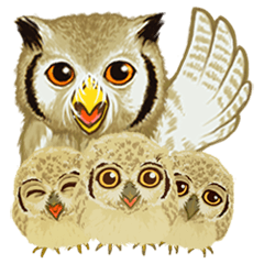 The Fancy Owls.