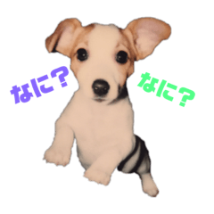 yasu_family20200412182905