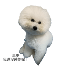 我是許圓仔