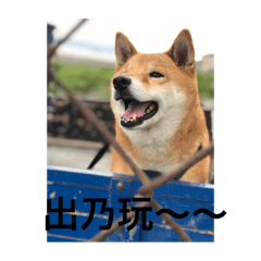 澐寶