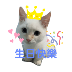 豆漿表情包