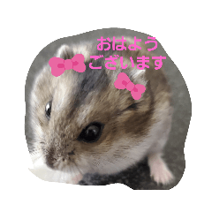 Nozomi_20200412233851