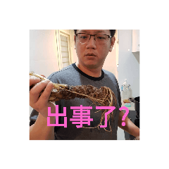 G哥3.0
