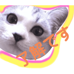 Hikari_20200413012151