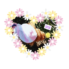 chisa_20200413094230