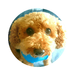 TAKASHI_20200413004723