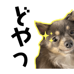 Hikari_20200413013325