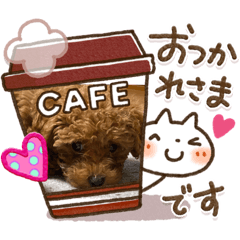 rinamh_20200413134419