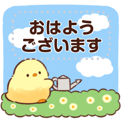 もふピヨ メッセージスタンプ Line スタンプ Line Store もふピヨ メッセージスタンプ Line スタンプ Line Store