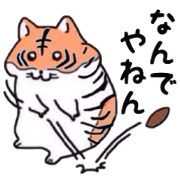 Kansai tiger hamster Kansai tiger hamster