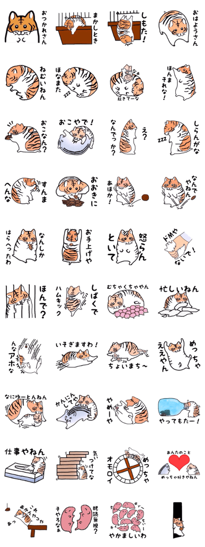 Kansai tiger hamster Kansai tiger hamster