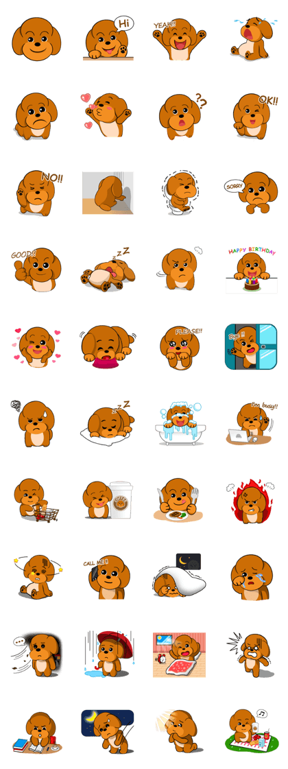 Your favorite Poodle puppy Your favorite Poodle puppy